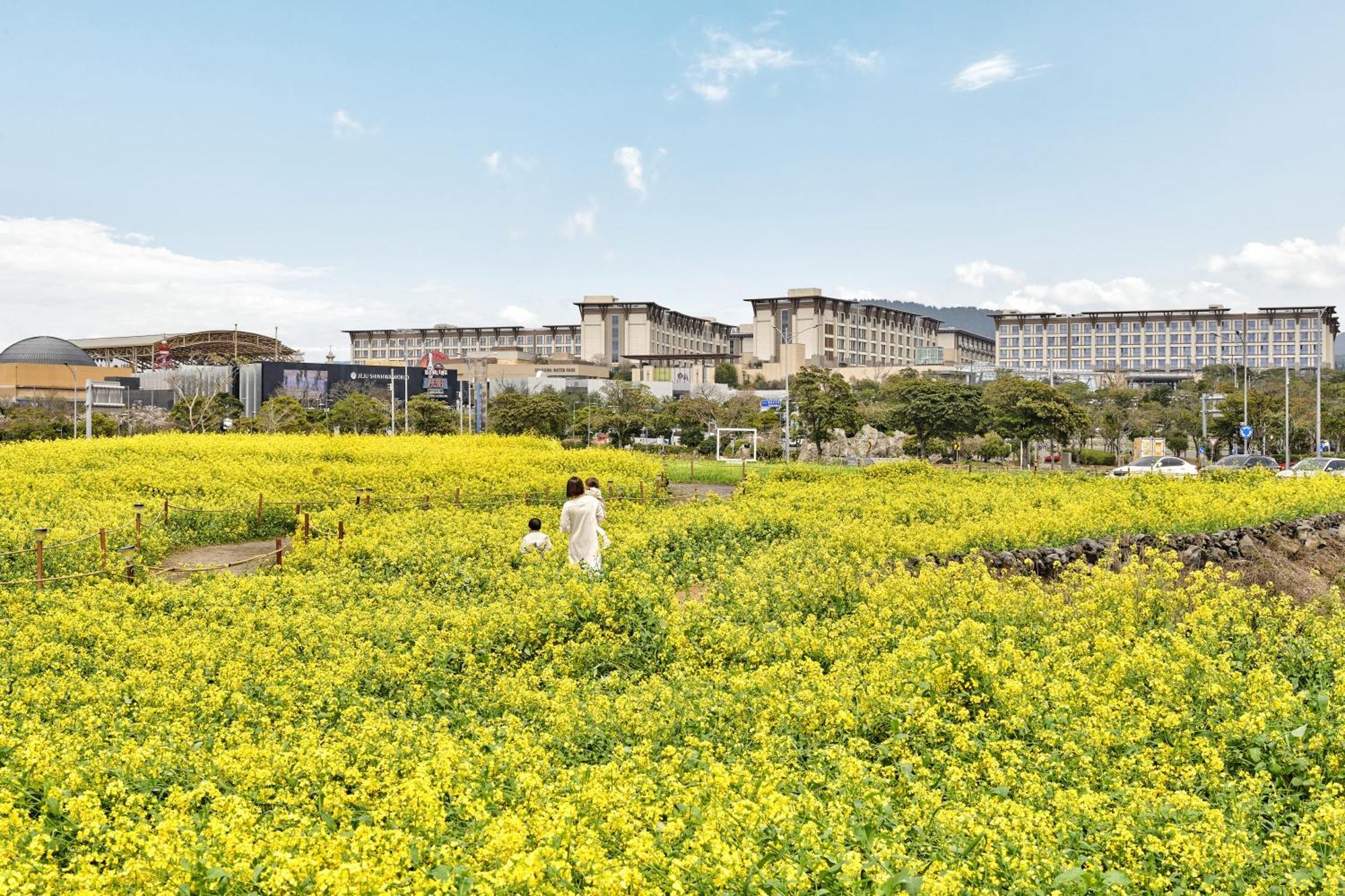 Marriott Jeju Shinhwa World Hotel Seogwipo Exterior photo